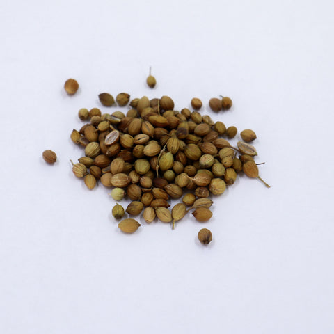 Coriander Seed