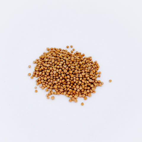 Yellow Mustard Seed