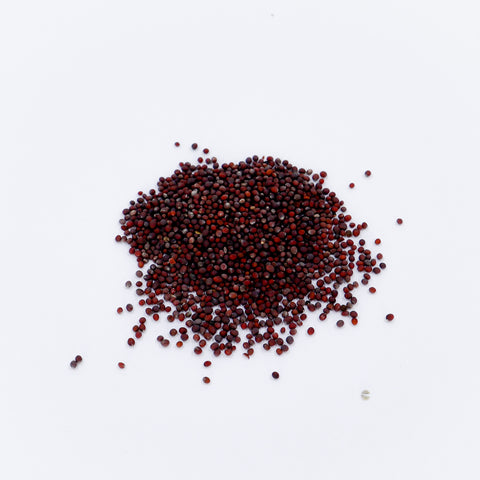 Dark Mustard Seed